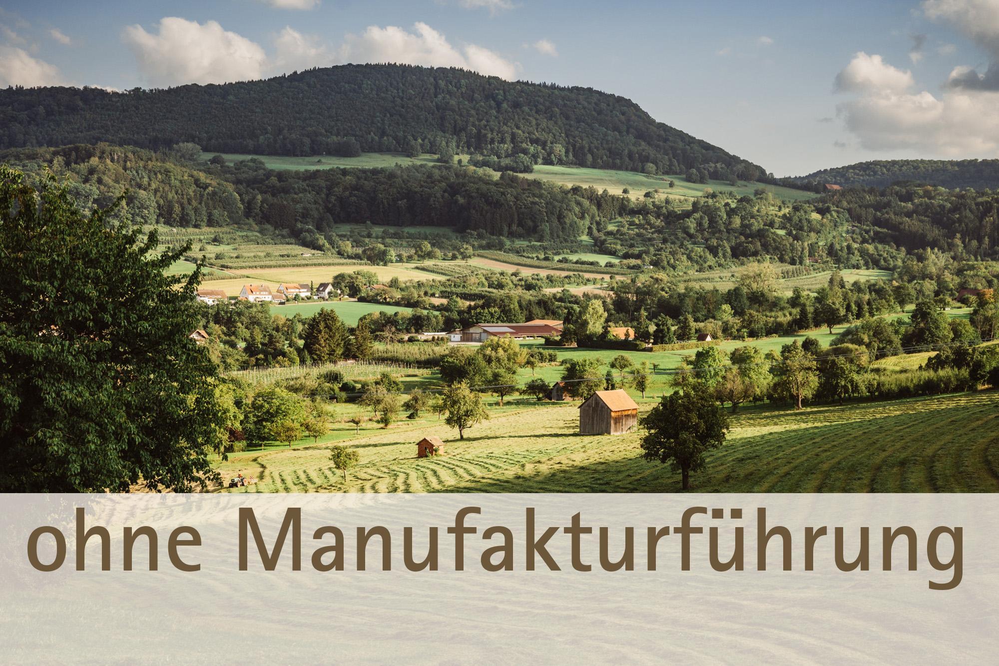 "Einfach Schwäbisch" ohne Führung