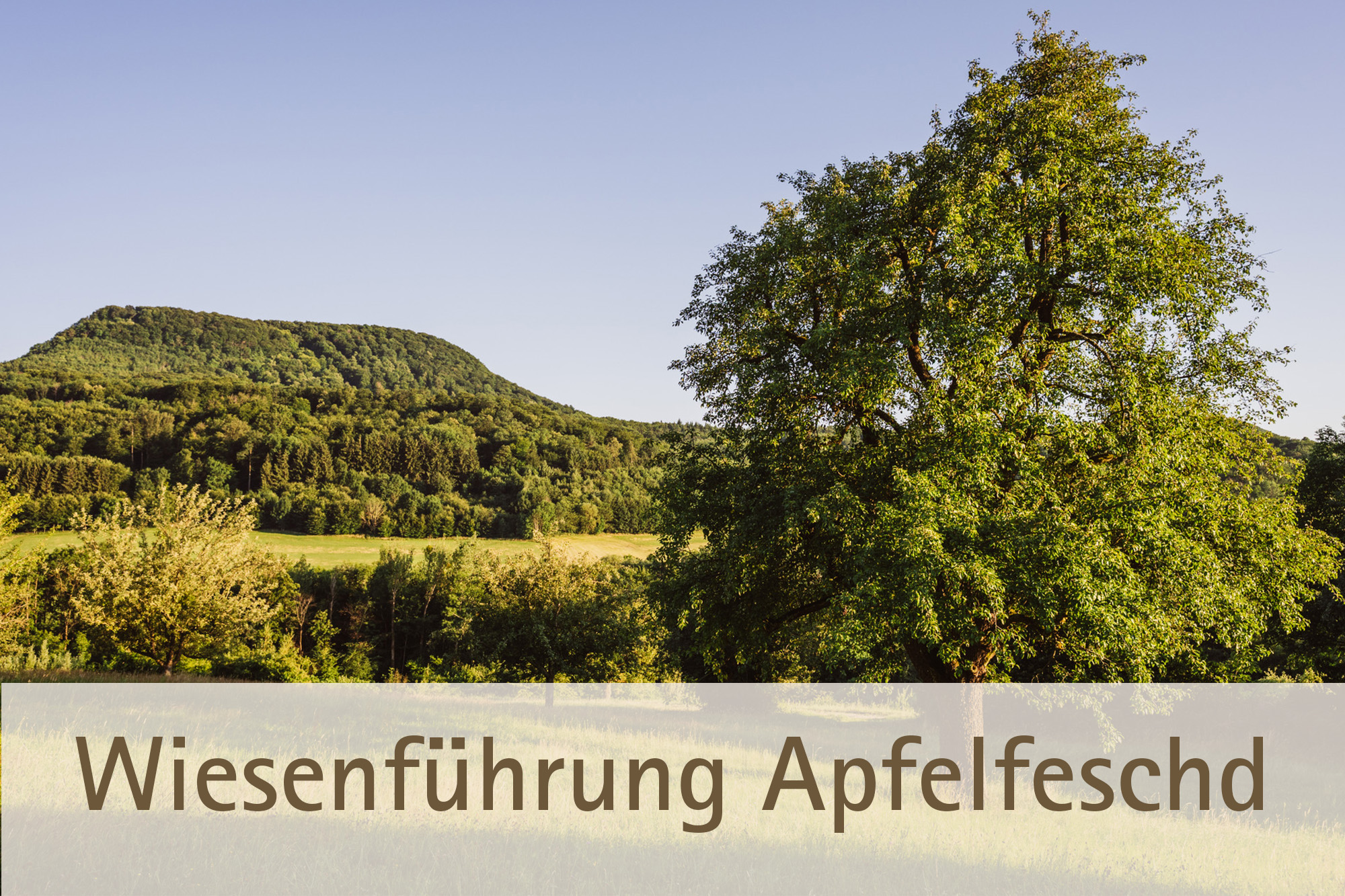 Wiesenführung Apfelfeschd 2026