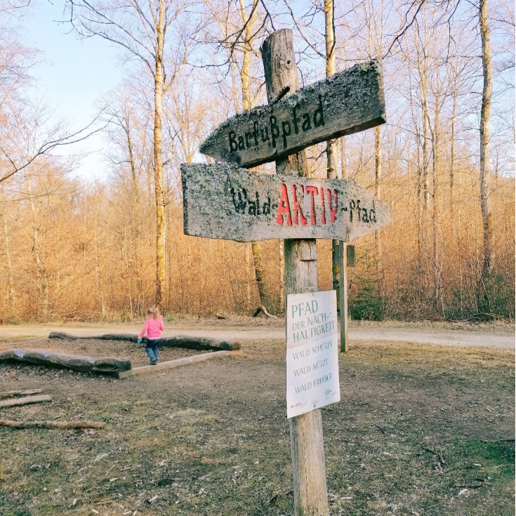 Wegweiser des Wald-AKTIV-Pfads im Schlater Wald