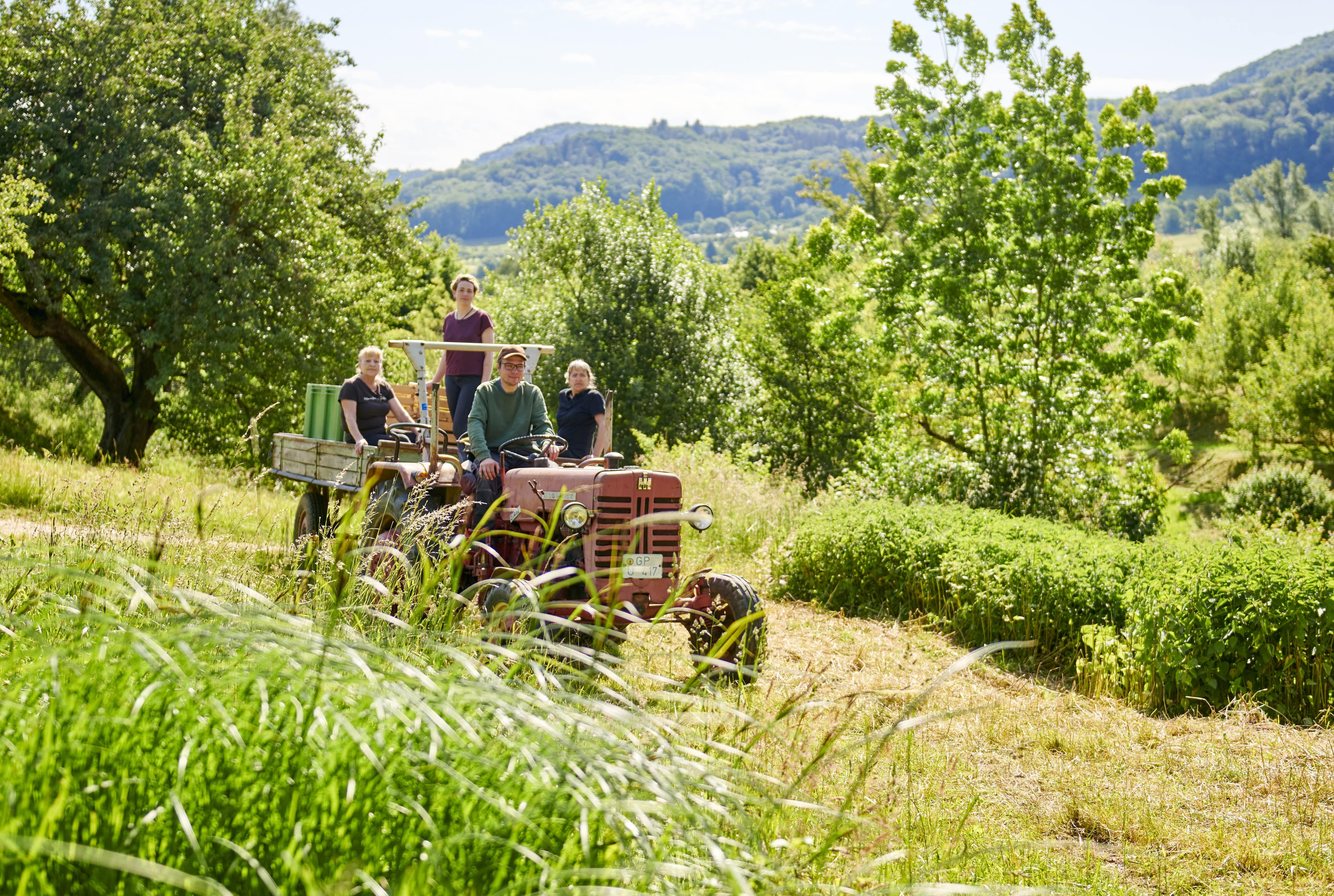 Mehrere Personen auf einem Traktor in der Streuobstwiese