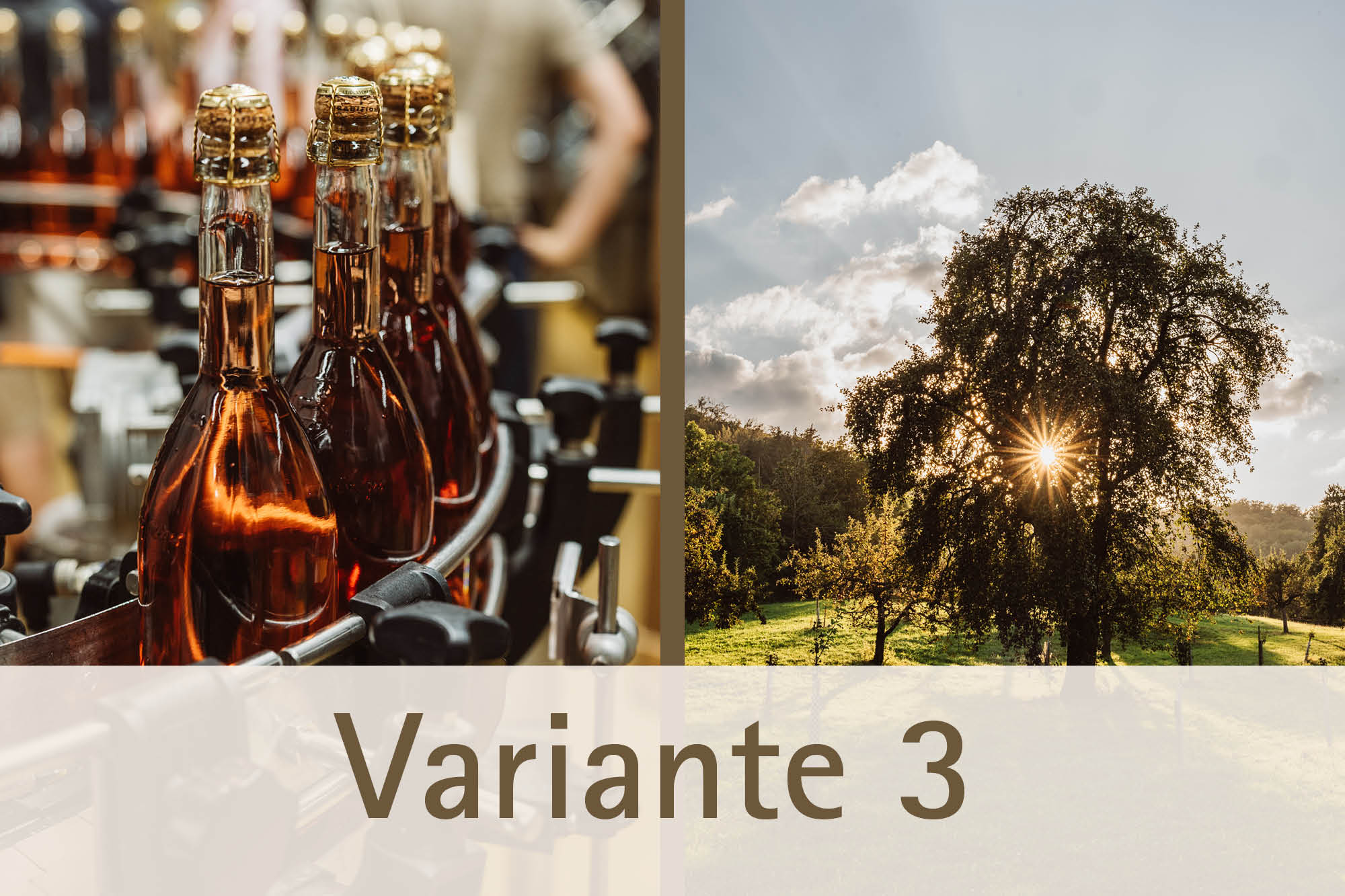 Manufaktur Erleben - Variante 3