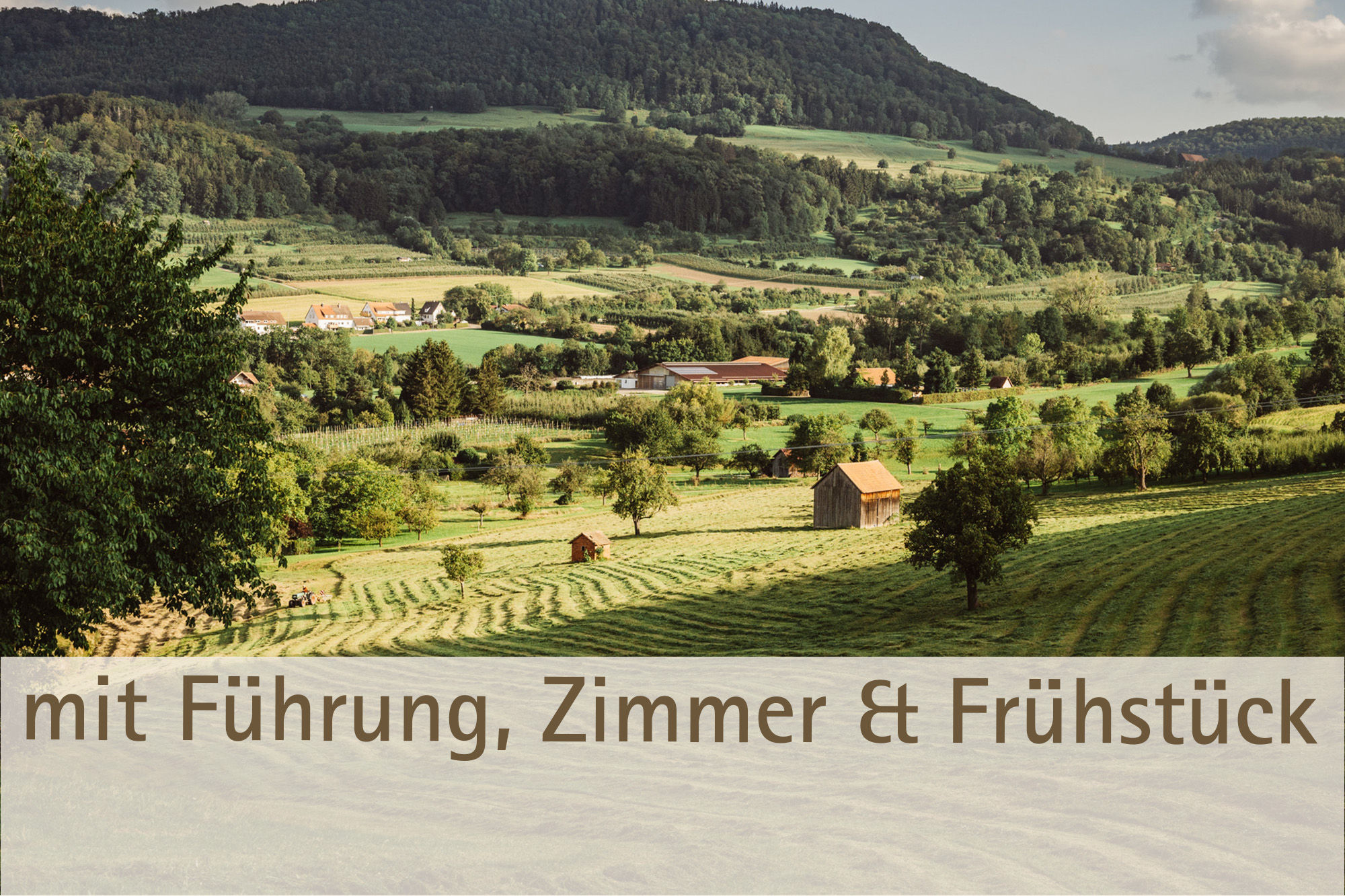 All-In-One Einfach schwäbisch