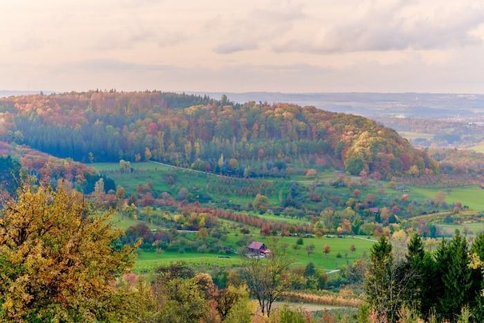 Blick auf eine Streuobstwiese