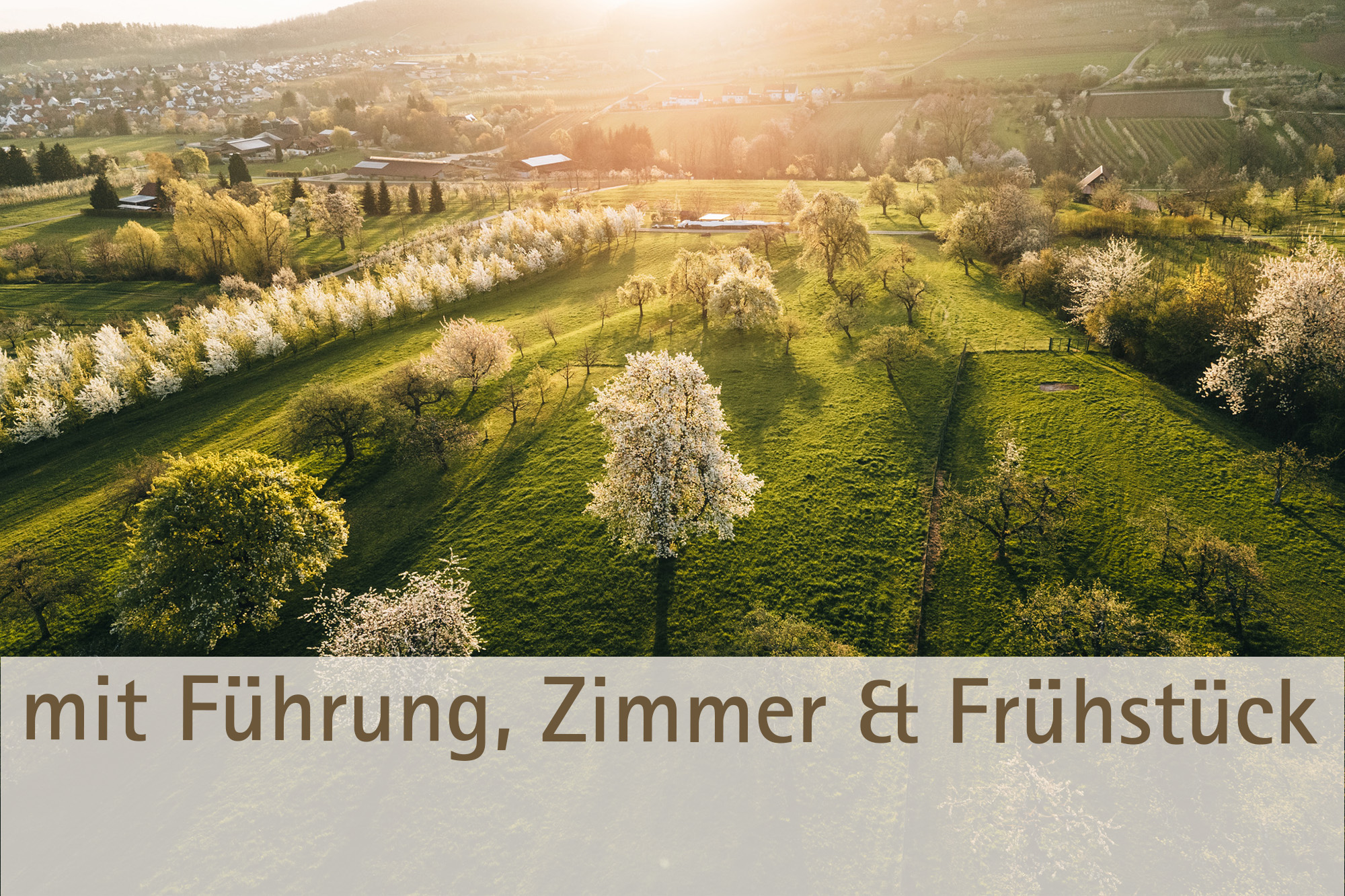 All-In-One saisonales Menü Frühling