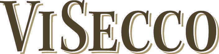 Logo ViSecco