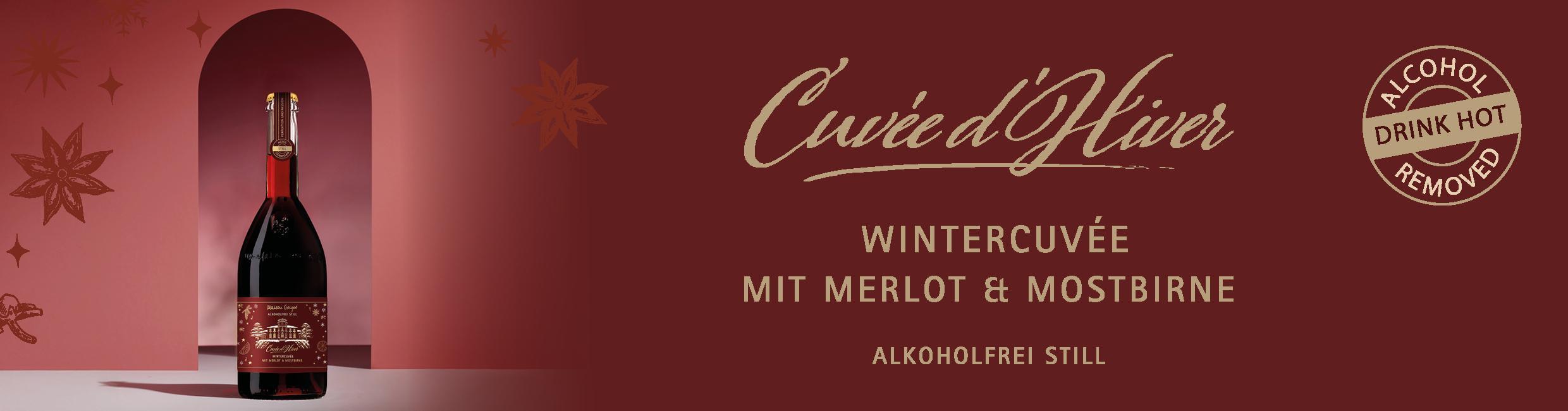 OnlineShop Banner Startseite schmal