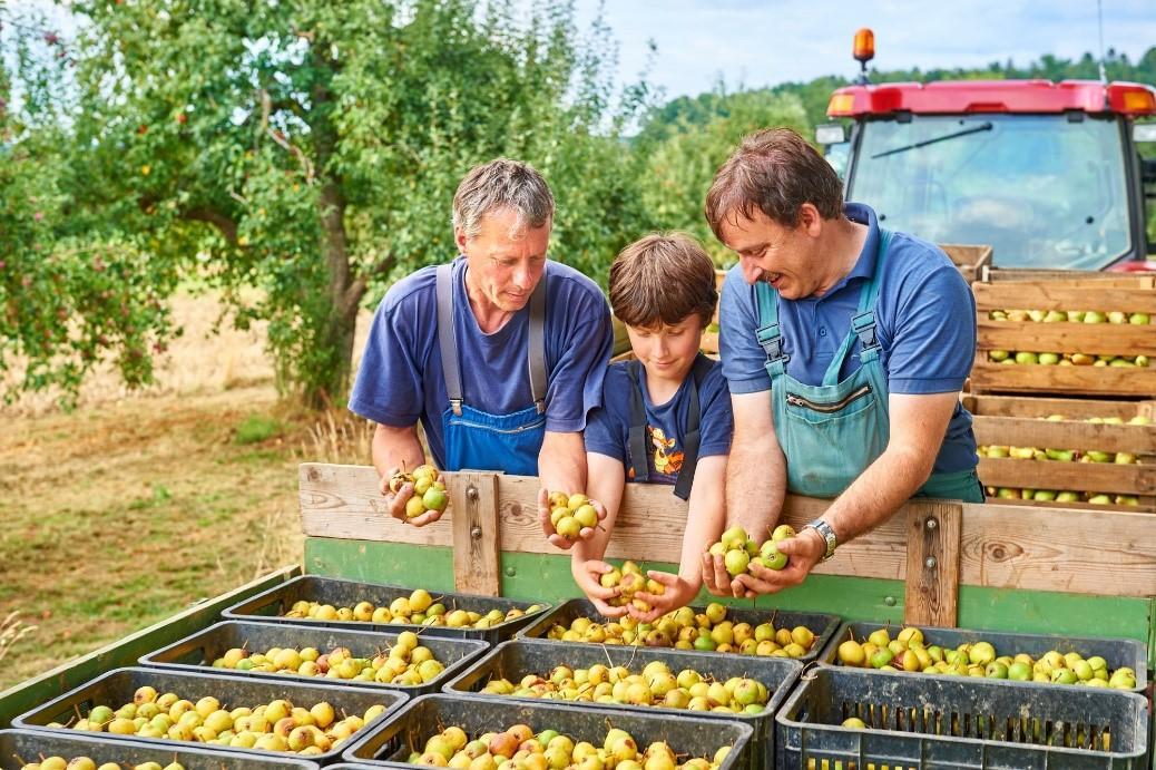 3 Personen prüfen die Ausbeute der Ernte