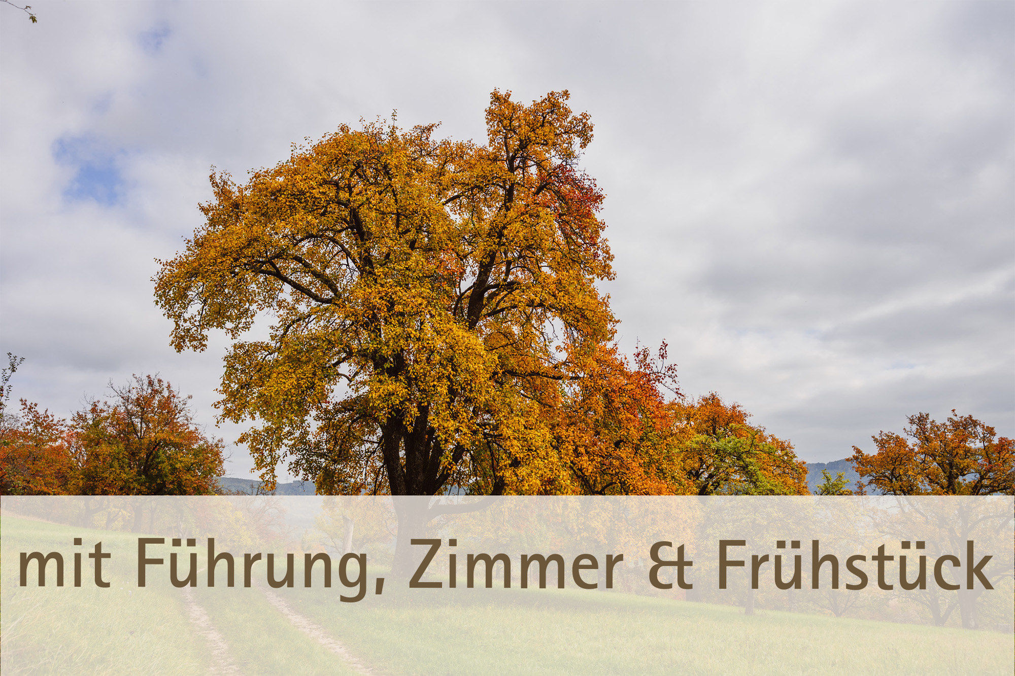 All-In-One saisonales Menü Herbst